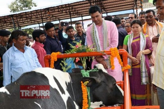 'I was criticized world-wide when I proposed Cow Rearing Profession to Tripuraâ€™s Unemployed youths, but today I am proven right, Tripura Cow milk Industry can get Rs 1100 crores profit every year', claims CM Biplab Deb